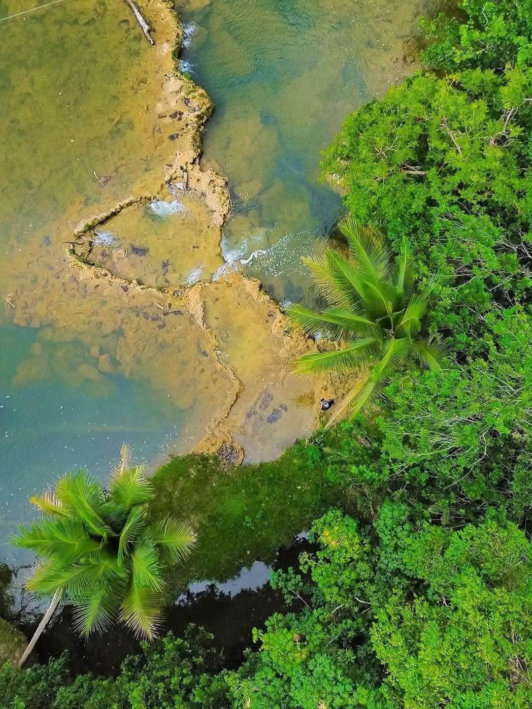 Cauce del río Machaquilá con vegetación tropical en sus orillas