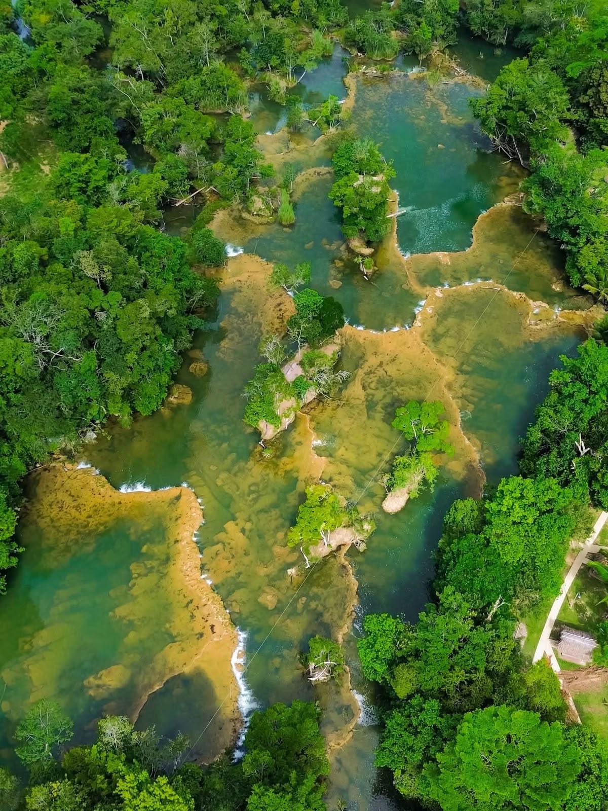 Río Machaquilá rodeado de abundante vegetación tropical
