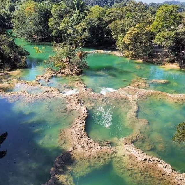 Lecho del río con piedras y agua transparente